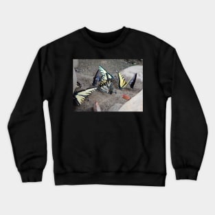 Butterfly Congregation Crewneck Sweatshirt